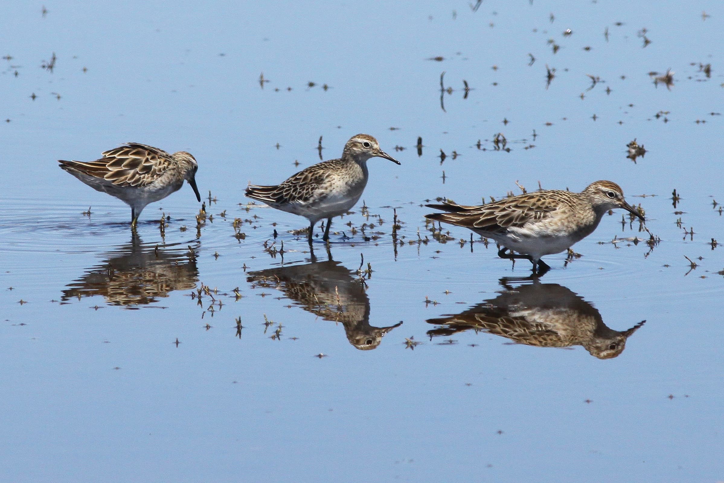 Limestone Coast | Photographer Steve Bourne